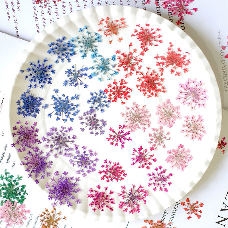 24pcs,2-2.5cm,nature Dyed Mini - огляд і ціна Resin Art Price