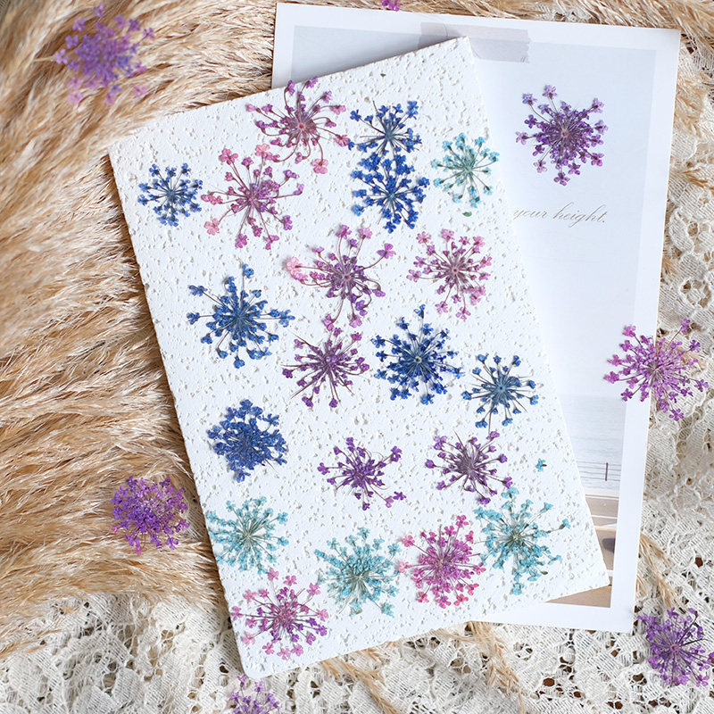 24pcs,2-2.5cm,nature Dyed Mini - огляд і ціна Resin Art Price