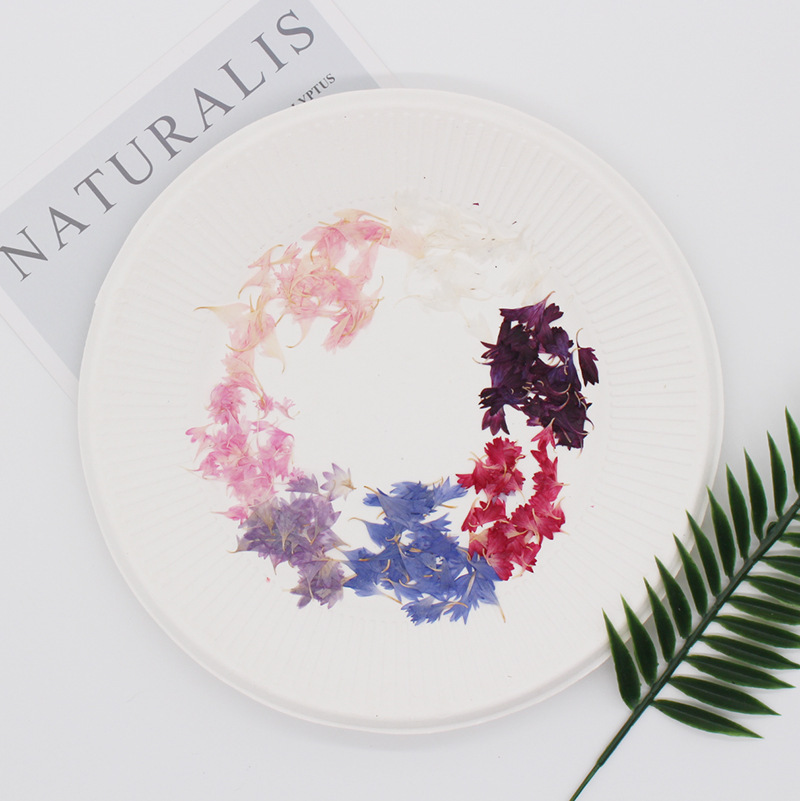 20 Plant Specimens, Cornflower - огляд і ціна Resin Art And Jewelry