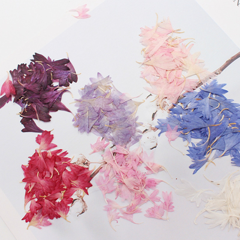 20 Plant Specimens, Cornflower - огляд і ціна Resin Art And Jewelry