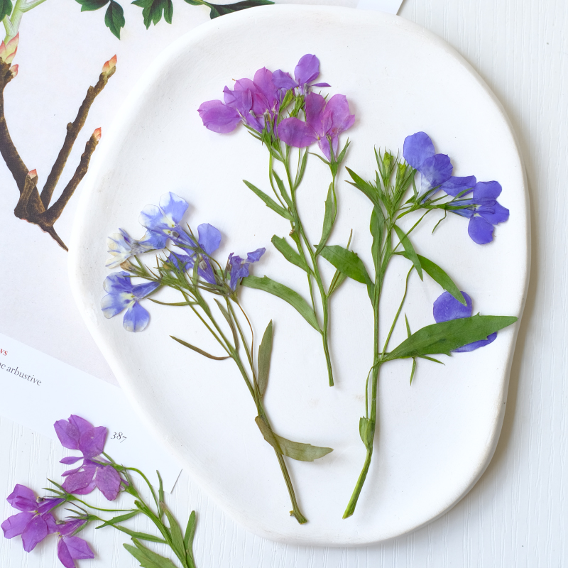 6pcs/8-13cm,nature Lobelia Eri - огляд і ціна Resin Art And Jewelry