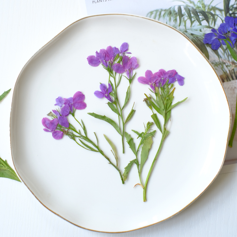 6pcs/8-13cm,nature Lobelia Eri - огляд і ціна Resin Art And Jewelry
