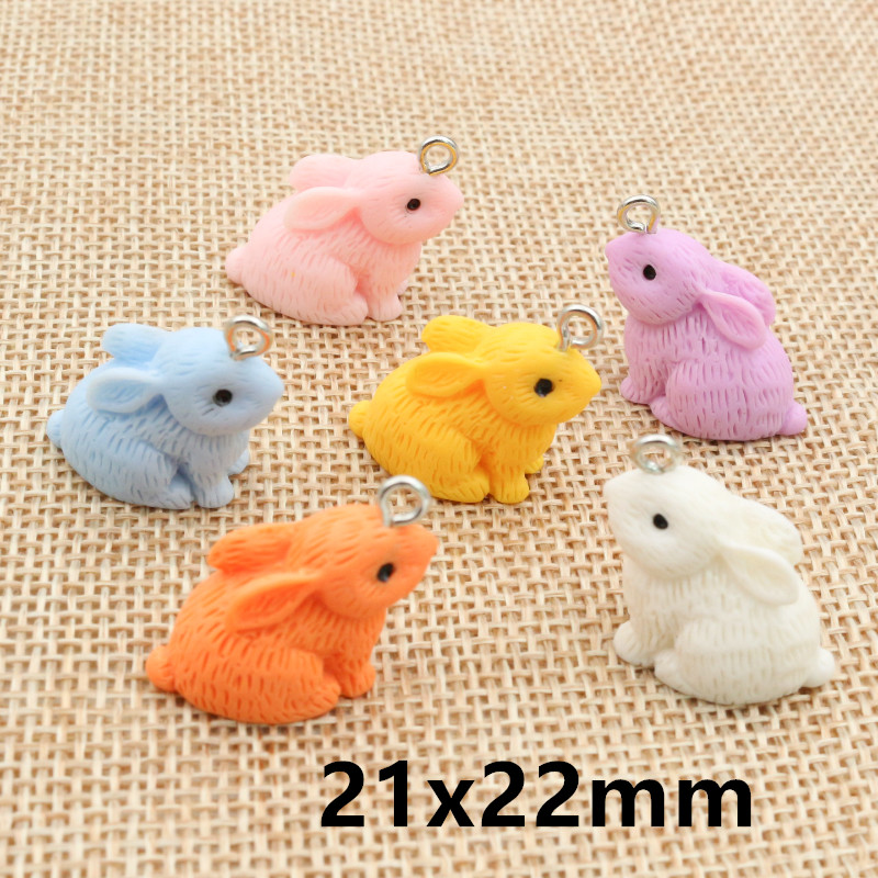 10PCS Resin Pendant Charms Rab - огляд і ціна Resin Art Supplies